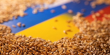 Сольський на засіданні Ради ЄС закликав скасувати обмеження на імпорт української аграрної продукції 