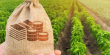 Уряд мусить терміново підняти кредитний ліміт для аграріїв | Блог Віктора Візного