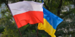 Україна і Польща створять великий військово-медичний хаб