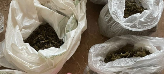 У Дрогобичі в будинку місцевого жителя знайшли сховок з висушеними коноплями (ФОТО)