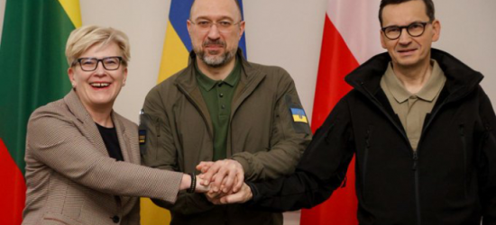 Україна, Польща і Литва закликали світ визнати спільною метою звільнення всієї України