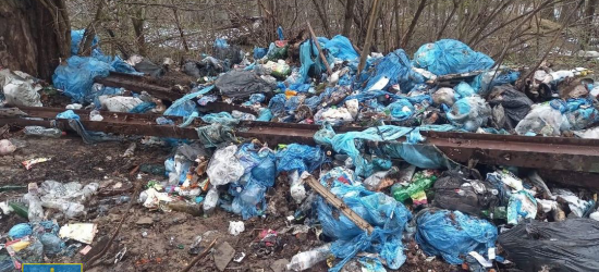 Майже 70 млн грн збитків: ексдиректорка підприємства у Трускавці організувала стихійне сміттєзвалище