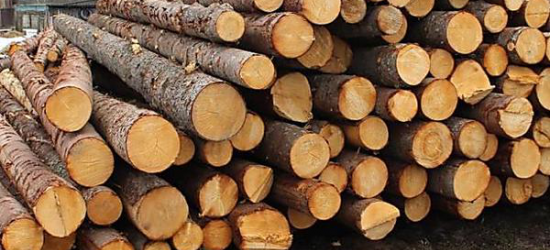 Минулоріч на Львівщині переробили понад 150 тис. м³ деревини
