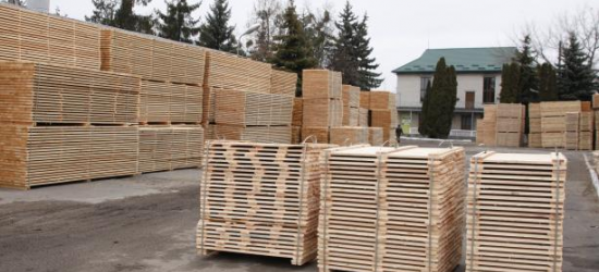 Львівліс у травні двічі провів торги обробленою деревиною