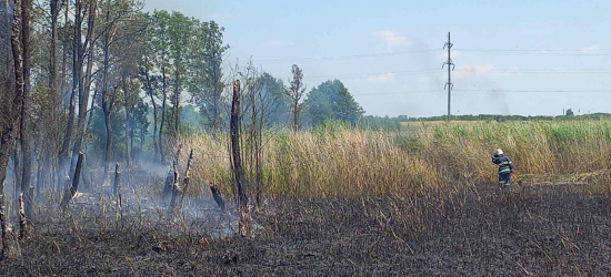 За добу рятувальники Львівщини 25 разів гасили пожежі сухостою
