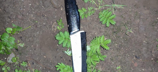  На Львівщині 47-річна жінка одним ударом ножа вбила свого співмешканця