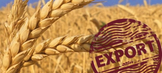 Україна збільшила експорт зерна через Польщу на 50% 
