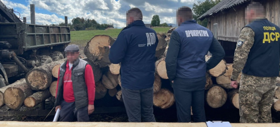 На Львівщині викрили злочинну групу, яка вирубувала ліс на території заповідника у Славську (ФОТО)