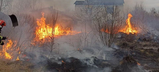 На Львівщині минулої доби вогнеборці 42 рази ліквідовували пожежі сухої трави 