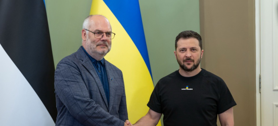 Зеленський зустрівся у Києві із Президентом Естонії: деталі 