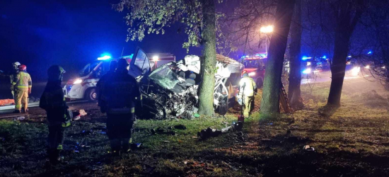 Автобус із українцями розбився у Польщі: загинули дві жінки та 6-річна дитина (ФОТО)