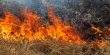За добу на Львівщині рятувальники ліквідували 12 пожеж сухостою