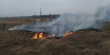 За добу рятувальники Львівщини 8 разів гасили пожежі в екосистемах