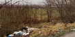 На території Оброшинської ТГ виявили несанкціоноване сміттєзвалище