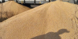 У Польщі розсипали з вагонів 160 тонн українського зерна (ФОТО)