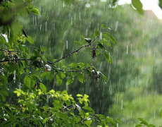 У суботу на Львівщині прогнозують короткочасні дощі, грози, град 