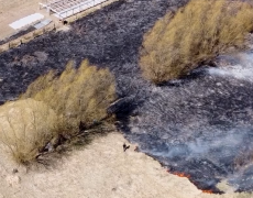 Цьогоріч на Львівщині вже згоріло 8 га сухої трави