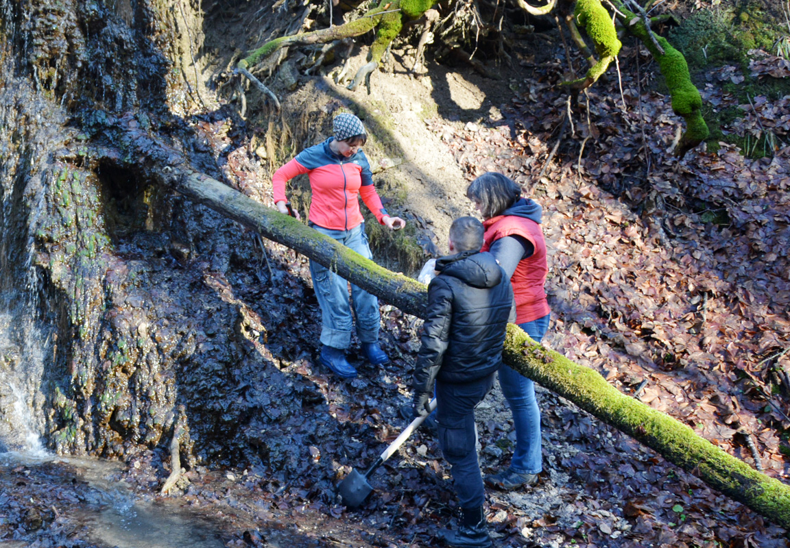 Львівські науковці-екологи шукали травертини у водних потоках на природоохоронних територіях НПП «Північне Поділля»