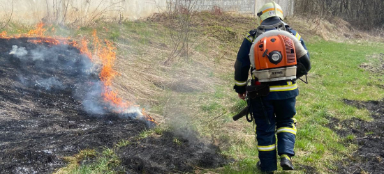 Минулої доби рятувальники Львівщини 38 разів гасили пожежі сухої трави