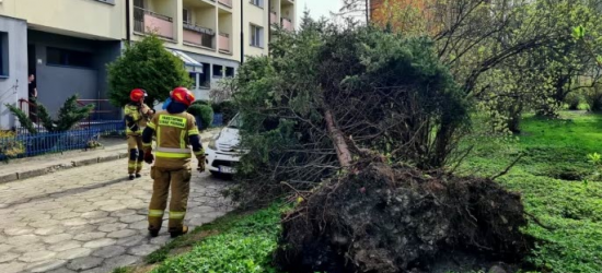 Через сильний буревій у Польщі загинуло п'ятеро людей