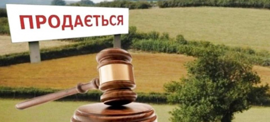 Наступного тижня на Львівщині з аукціону продадуть п’ять земельних ділянок