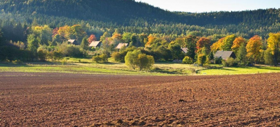 Попит на землю та нерухомість в Україні торік зріс у 1,5 раза