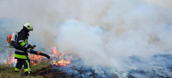 У лісництві на Золочівщині виникла пожежа через падіння збитого «шахеда»