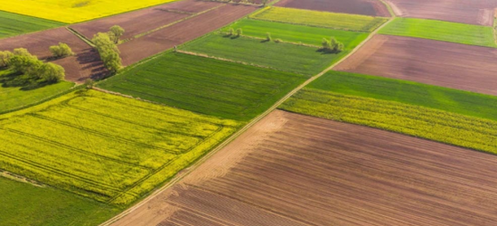 Відбудеться онлайн-аукціон з продажу прав оренди ділянок у трьох районах Львівщини