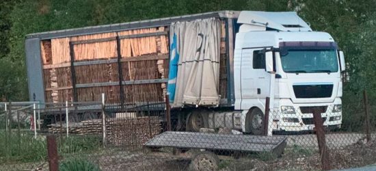 На Львівщині запобігли спробі незаконного вивезення лісоматеріалів за кордон (ФОТО)