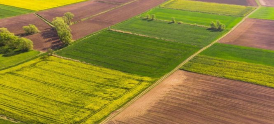 Податківці Львівщини нагадують про зміну граничного розміру орендної плати за землю