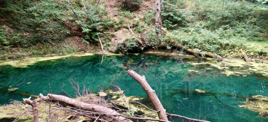 На Золочівщині унікальні карстові водойми відновили свій яскраво-бірюзовий відтінок води (ФОТО)