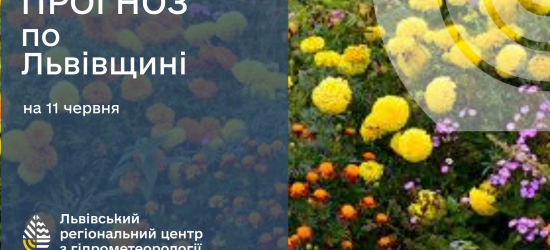 На завтра у Львові прогнозують 27 градусів: погода на 11 серпня