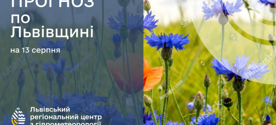 Завтра у Львові буде до 25 градусів, вночі та вранці – туман