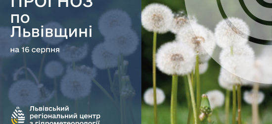 Завтра у Львові буде 20-31 градус тепла, можливі дощі: погода на 16 серпня