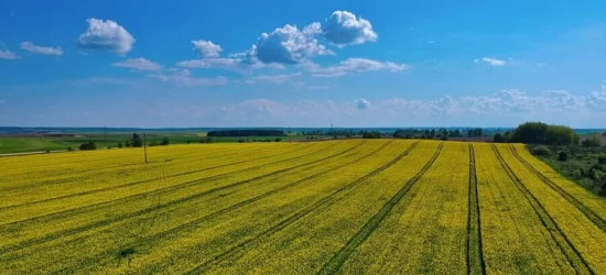 Українські аграрії, які працюють у зонах бойових дій, отримуватимуть дотацію від держави