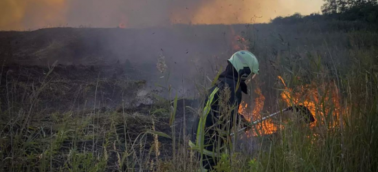 На Львівщині за добу палії сухостою спричинили 43 пожежі