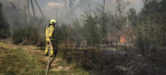 Майже 60 пожеж сухостою ліквідували надзвичайники Львівщини за добу