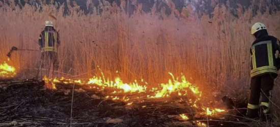 Під час пожежі сухостою на Львівщині постраждав 44-річний чоловік