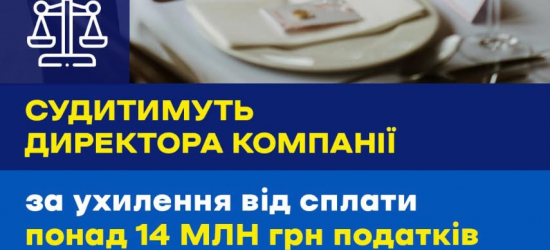 На Львівщині судитимуть директора компанії за несплату понад 14 млн грн податків