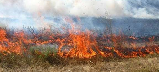 Упродовж доби рятувальники Львівщини ліквідували п’ять пожеж сухостою