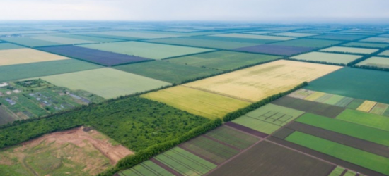 ВРУ повторно ухвалила закон про продовження строків для оформлення земельних паїв