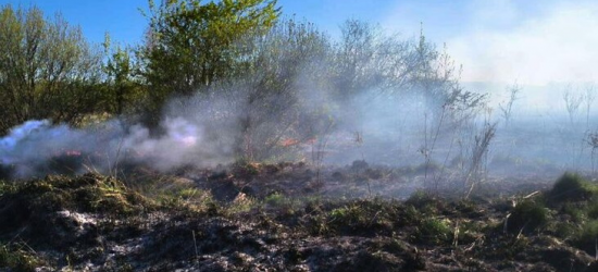 На Львівщині синоптики застерігають про високу пожежну небезпеку найближчими днями