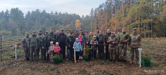 На Львівщині висадили понад 5 тисяч дерев у межах всеукраїнської акції «1 мільйон дерев пам'яті та життя»