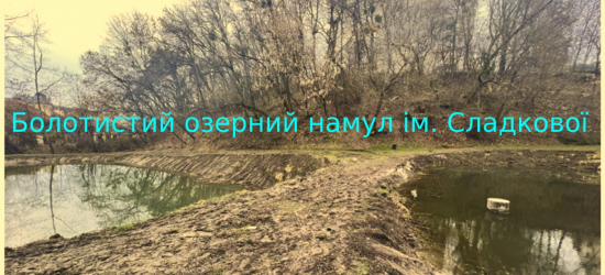 У суді триває слухання кримінальних проваджень проти Сладкової та Садового