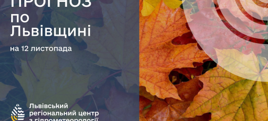 На завтра у Львові прогнозують туманну і холодну погоду