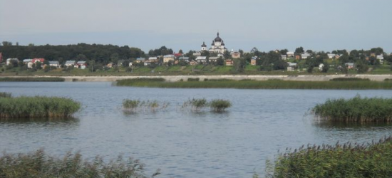 У Гамаліївське водосховище випустили майже 10 тис. риб