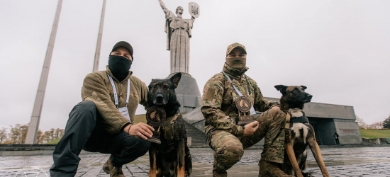 Чотирилапі захисники СБУ Рем і Фінч отримали нагороди за захист України