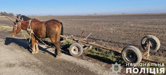 На Львівщині загинув керманич підводи, з’їхавши у кювет  