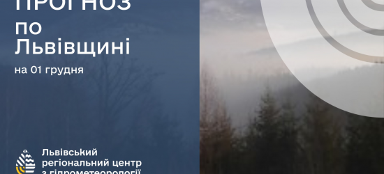 Синоптики розповіли, якою буде погода у Львові у перший день зими