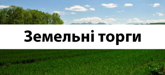 На електронні торги виставили чотири земельні ділянки, розташовані на Львівщині